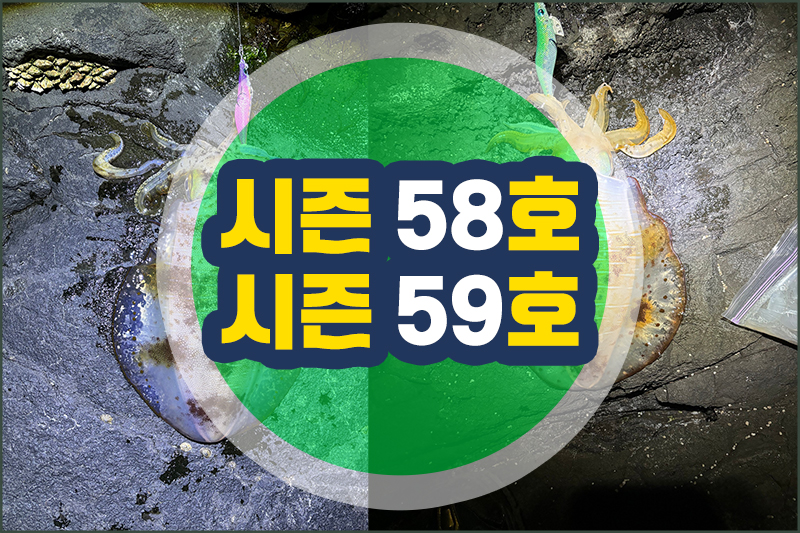 20240318_제주서귀포_해참에깅_시즌58호59호.jpg 20240318_제주서귀포_해참에깅_시즌58호59호.jpg